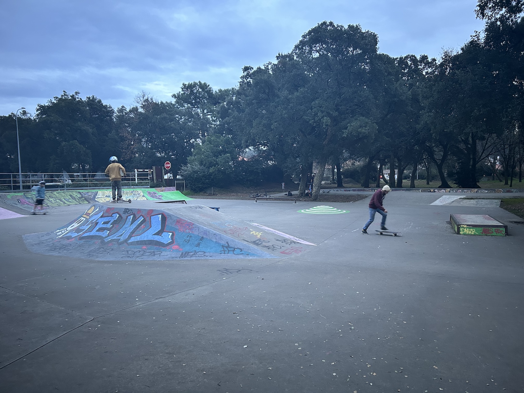 Tarnos skatepark